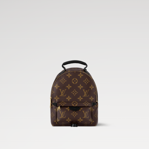 Louis Vuitton Palm Springs Mini M44873