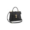 Louis Vuitto Rose Des Vents PM M53818 M53821 M53822 Black