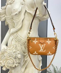 Louis Vuitton Bicolor Multi Pochette Accessoires M45777 Brown