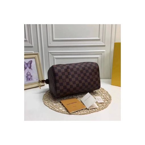 Louis Vuitton Damier Ebene Canvas Speedy 25 N41365 - Image 5