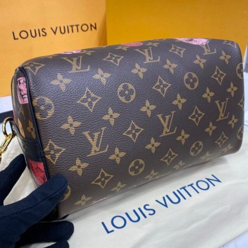 Louis Vuitton Monogram Cameo Printed Speedy Bandouliere 25 M45910 - Image 8