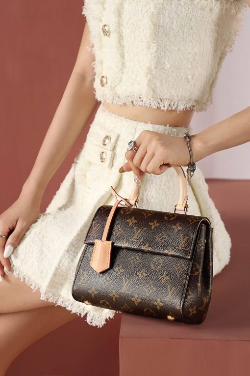 Louis Vuitton Monogram Canvas Cluny Mini Bag M46055 - Image 6