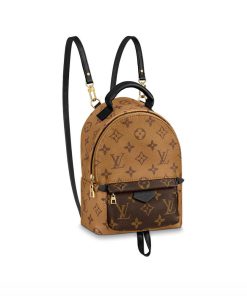 Louis Vuitton Monogram Canvas Palm Springs Backpack Mini M42411