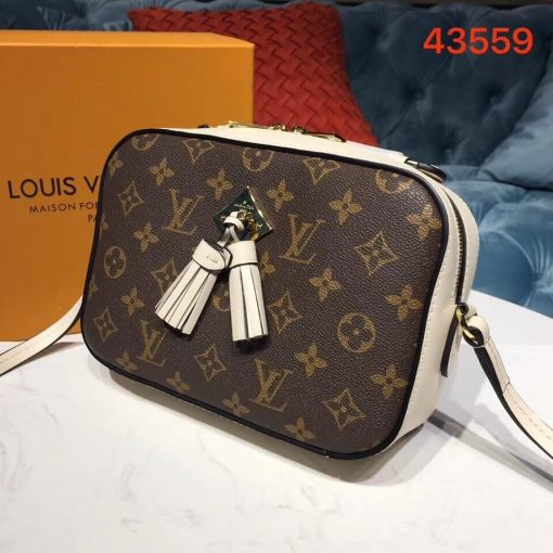 Louis Vuitton Monogram Canvas Saintonge M43559 Beige - Image 2