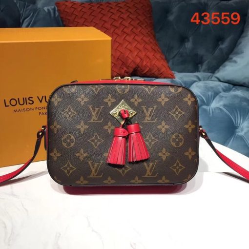 Louis Vuitton Monogram Canvas Saintonge M43559 Beige - Image 9