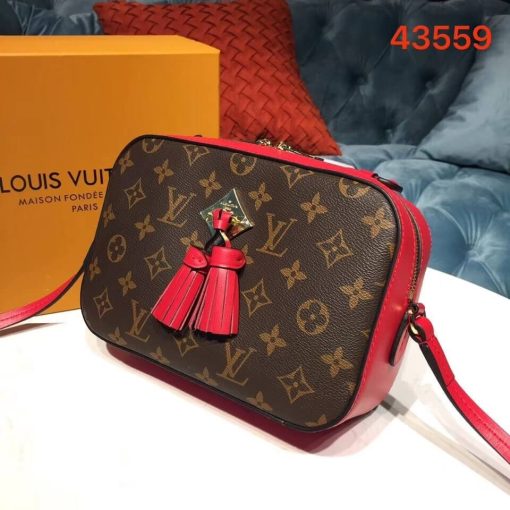 Louis Vuitton Monogram Canvas Saintonge M43559 Beige - Image 10