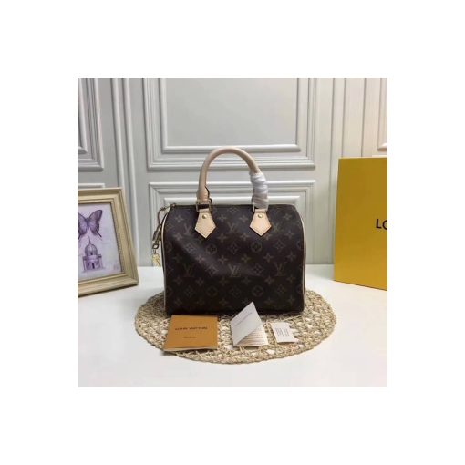 Louis Vuitton Monogram Canvas Speedy 25 M41109 - Image 2