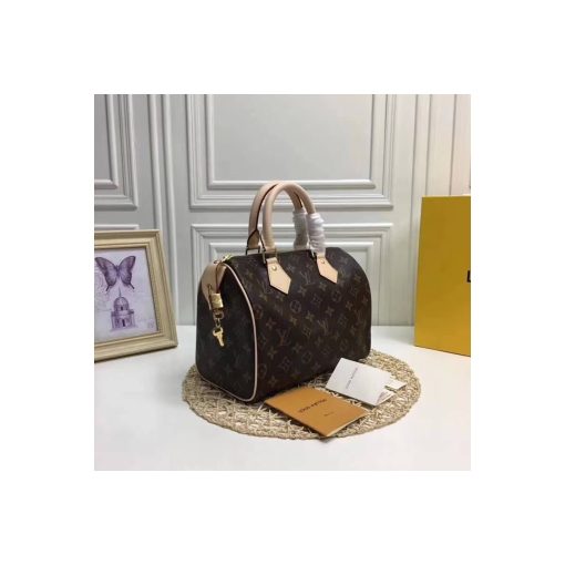 Louis Vuitton Monogram Canvas Speedy 25 M41109 - Image 3