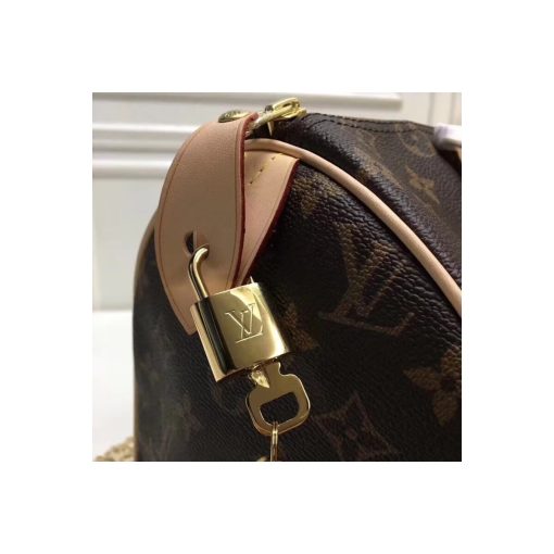 Louis Vuitton Monogram Canvas Speedy 25 M41109 - Image 8