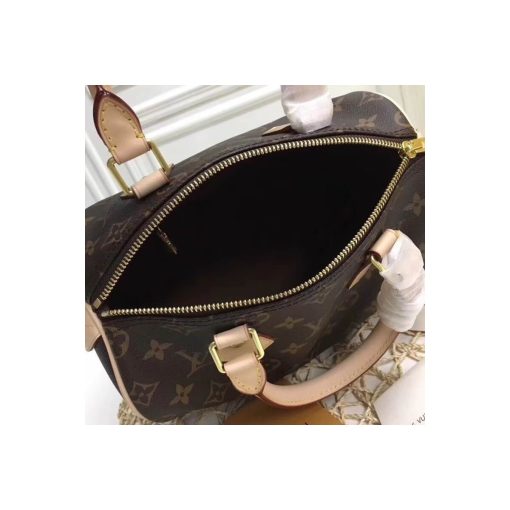 Louis Vuitton Monogram Canvas Speedy 25 M41109 - Image 10