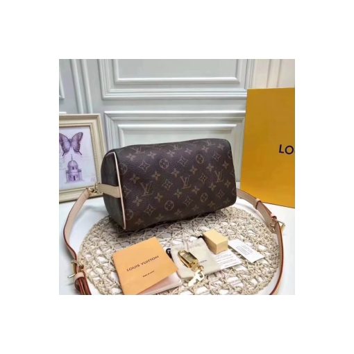Louis Vuitton Monogram Canvas Speedy Bandouliere 25 M41113 - Image 9