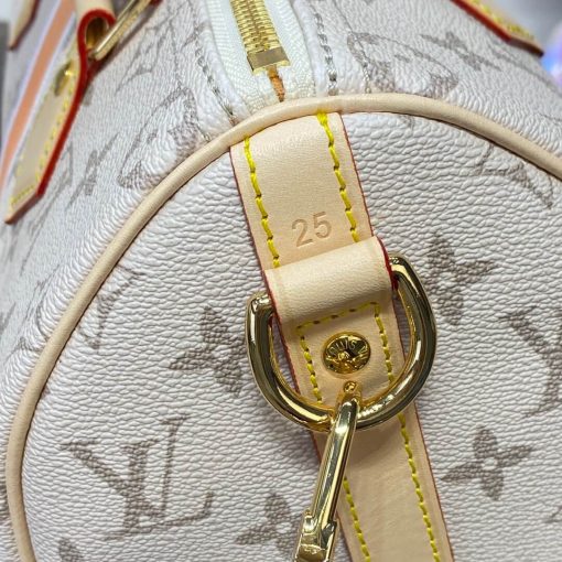 Louis Vuitton Monopaname Canvas Speedy Bandouliere 25 M46749 - Image 9
