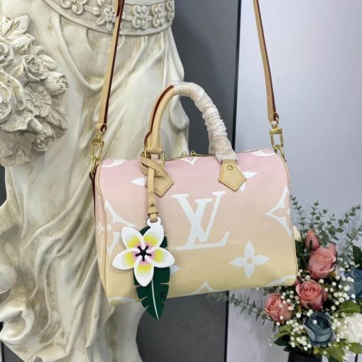Louis Vuitton Speedy Bandouliere 25 M45722 M45724 Mist - Image 2