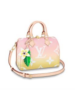 Louis Vuitton Speedy Bandouliere 25 M45722 M45724 Mist