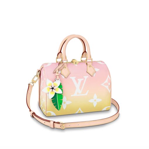 Louis Vuitton Speedy Bandouliere 25 M45722 M45724 Mist