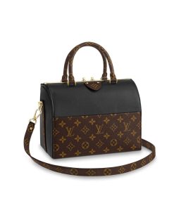 Louis Vuitton Speedy Doctor 25 Handbag M51468