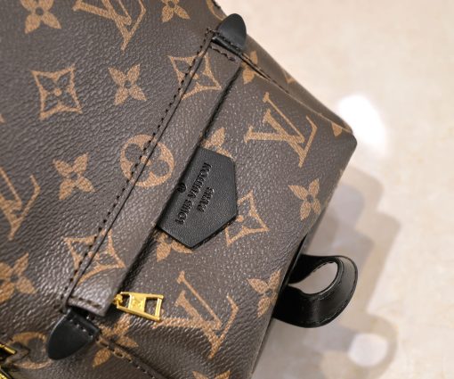 Louis Vuitton Palm Springs Mini M44873 - Image 7